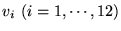 $v_i~(i =1, \cdots, 12)$