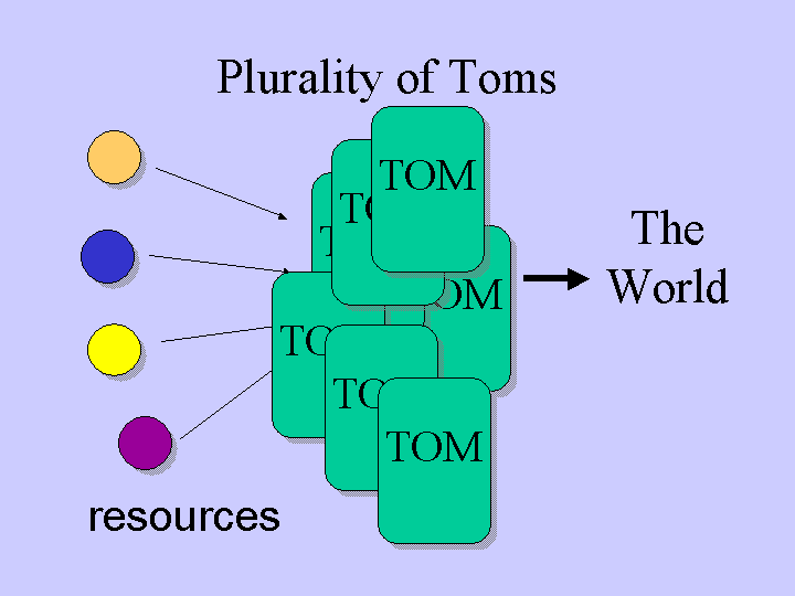 collection of Tom Sawyers