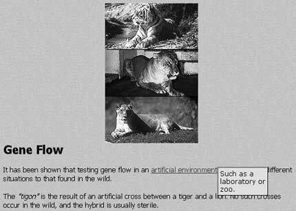 Figure 2. A Simple Chunk.