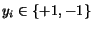 $y_i \in \{+1, -1\}$