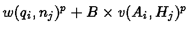 $w(q_i,n_j)^p +
B\times v({A}_i, {H}_j)^p$