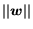 $\vert\vert\mbox{\protect\boldmath$w$\protect\unboldmath }\vert\vert$