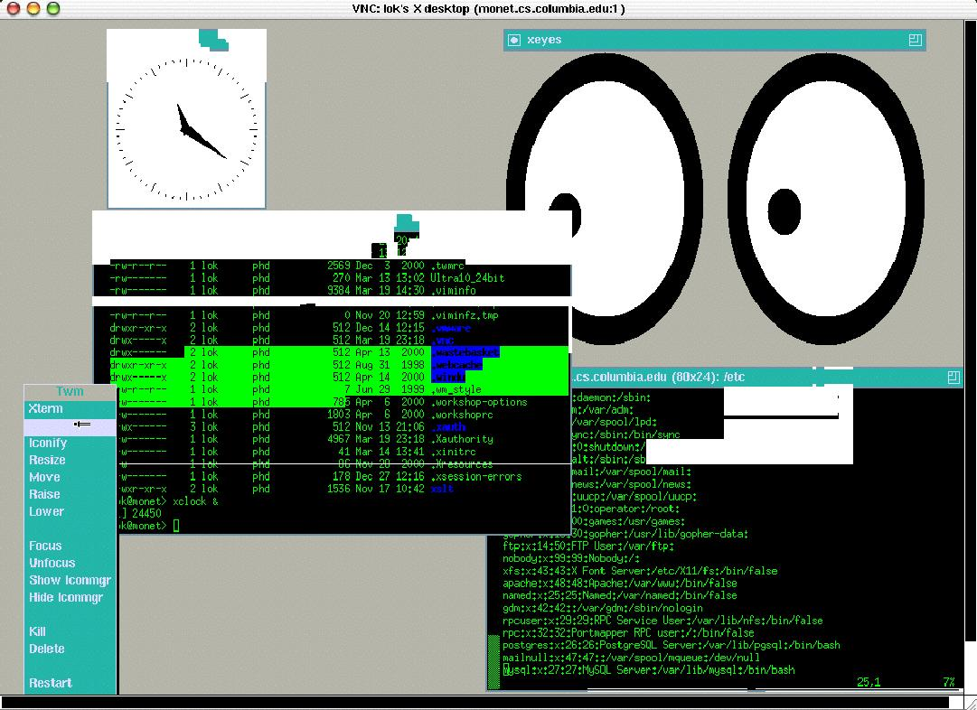 Screenshot showing VNC refresh problems