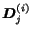 $\mbox{\boldmath$D$}_j^{(i)}$