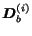 $\mbox{\boldmath$D$}_b^{(i)}$