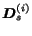 $\mbox{\boldmath$D$}_s^{(i)}$