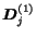$\mbox{\boldmath$D$}_j^{(1)}$