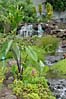 Hawaiian plants surround water feature on museum grounds.