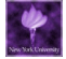 NYU, New York University