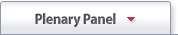 plenary-panel