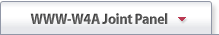 www-w4a-joint-panel