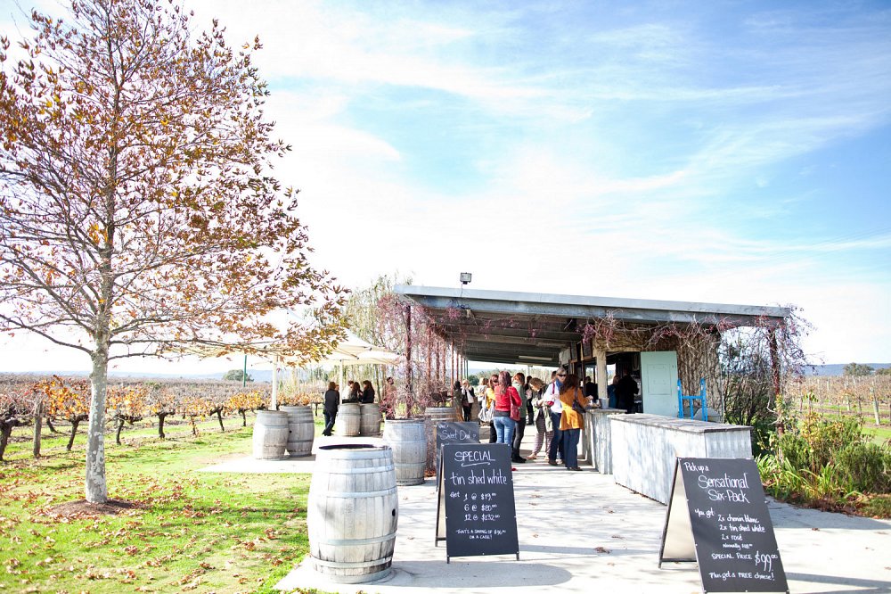 People socialising in a winery