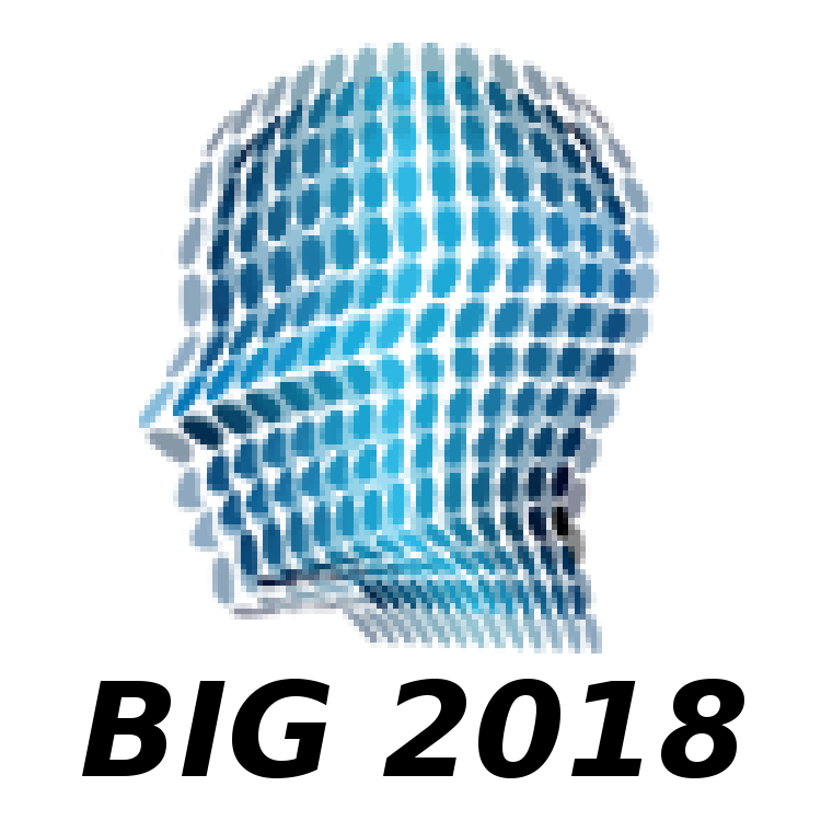 BIG 2018